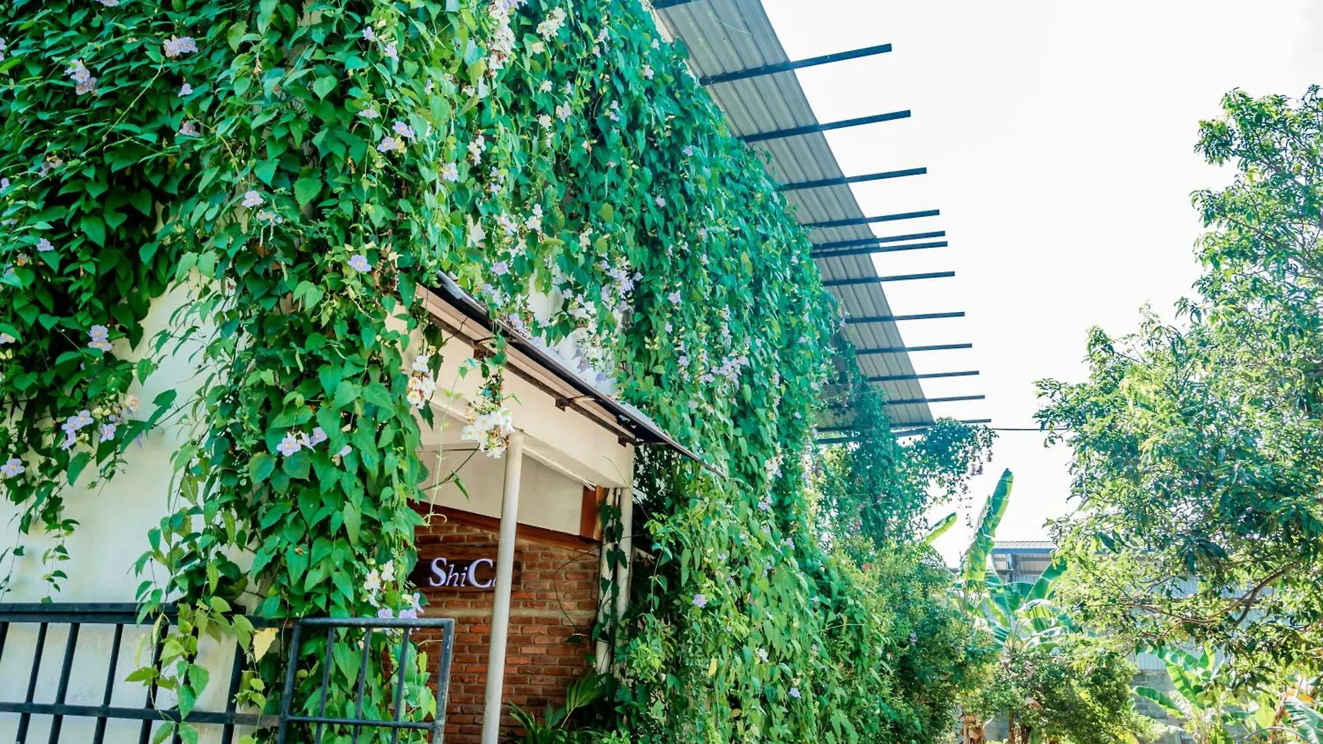 Shico Transit Hotel 尼甘布 0*,